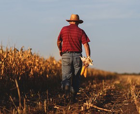 Gracias por la comida: un reconocimiento a los agricultores