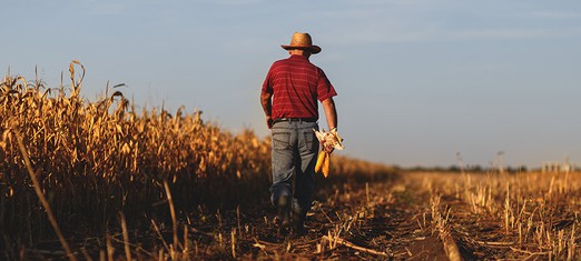 Gracias por la comida: un reconocimiento a los agricultores