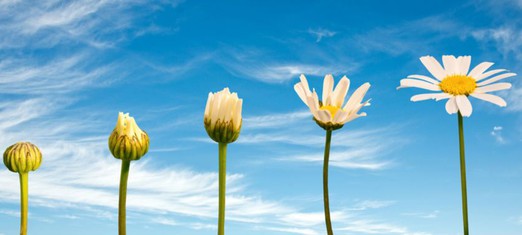 ¿Cómo ocurre el crecimiento individual y colectivo?