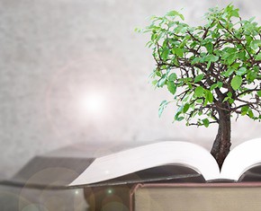¿Cómo la narración de cuentos despierta el poder de la juventud?