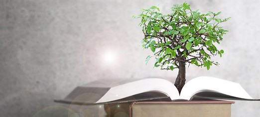 ¿Cómo la narración de cuentos despierta el poder de la juventud?