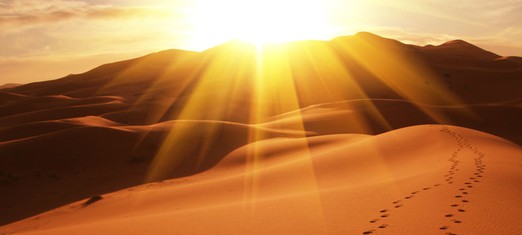 Out of Exile, a Light to the World