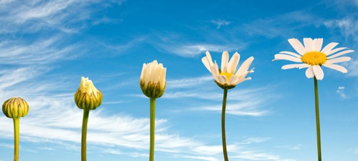 How Human Growth Happens—Individually and Collectively