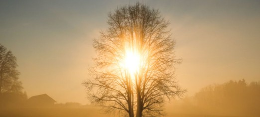 How the Prophets Receive their Revelations