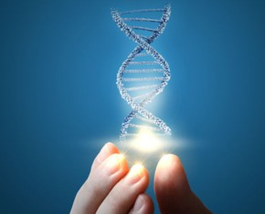 Race Unity: It’s In Our DNA