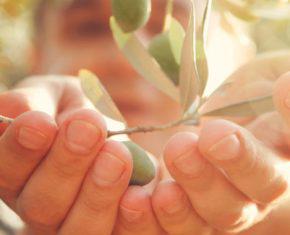 Three Ways to Bear Spiritual Fruit