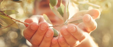 Three Ways to Bear Spiritual Fruit