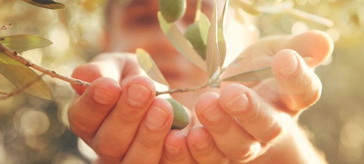 Three Ways to Bear Spiritual Fruit