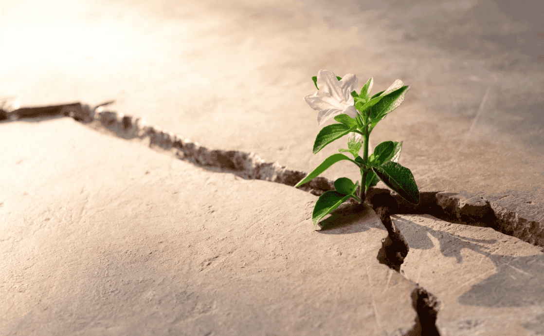 Making Lemonade: How We Respond to Life’s Tests