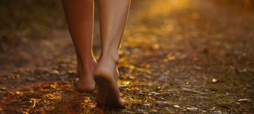 ¿Qué es lo que tu alma busca?