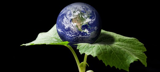 Global Suffering Means Humanity’s Coming-of-Age