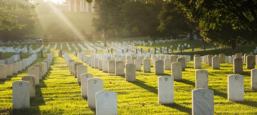 Veteran’s Day: a Century after the Great War