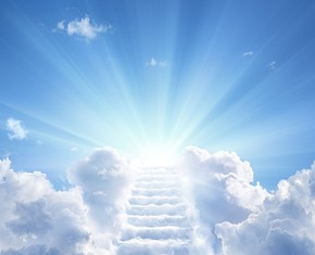 Paradise in Heaven and on Earth