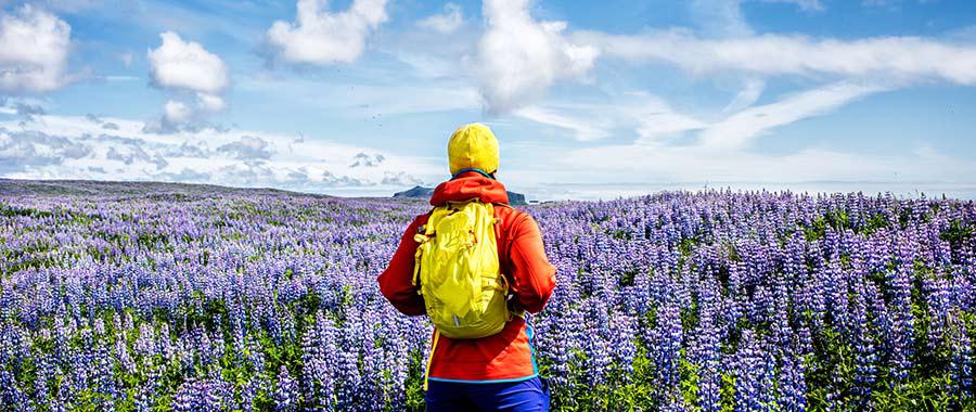 ¿Cómo vivir la vida en un modo de oración?
