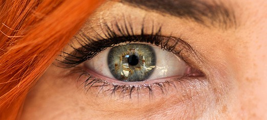 Why Are Human Beings So Complex?