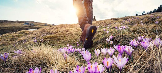 No One Knows When Their End Will Come