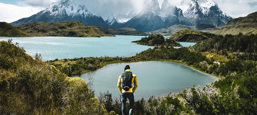 What’s the Difference Between Humans and Animals?