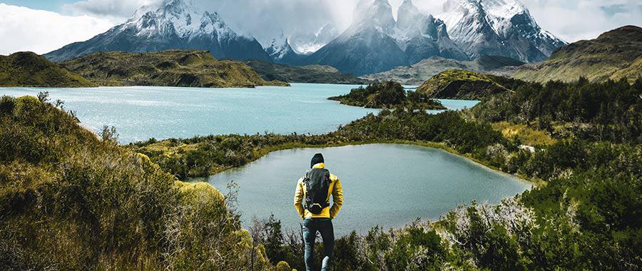 what-s-the-difference-between-humans-and-animals-bahaiteachings