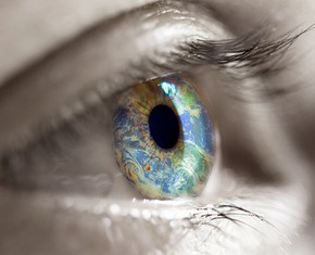 Cómo ver todos los colores en el espectro de nuestro mundo