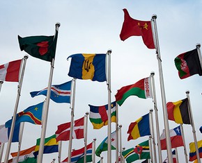 Releasing the Universal Capacity for Transformative Social Change