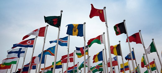 Releasing the Universal Capacity for Transformative Social Change