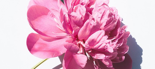 What’s the Difference Between Lent and the Baha’i Fast?