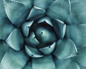Progressive Revelation, the Oneness of God and Mathematics