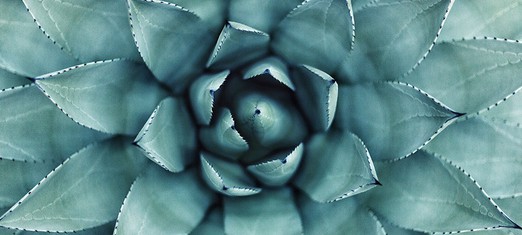 Progressive Revelation, the Oneness of God and Mathematics