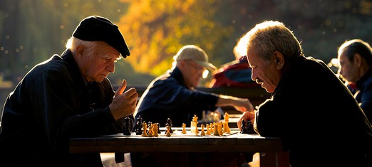 Achieving Long Life Through Lifelong Learning