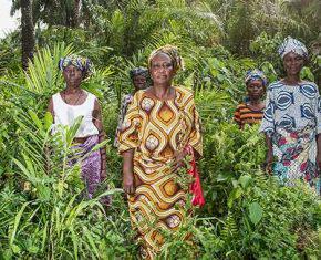 Half the Sky, Half the Land: The Power of the Female Farmer