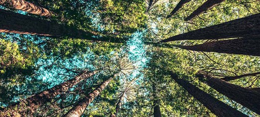 Orando por la Madre Naturaleza