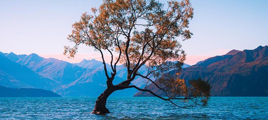 Does Nature Prove that God Exists?