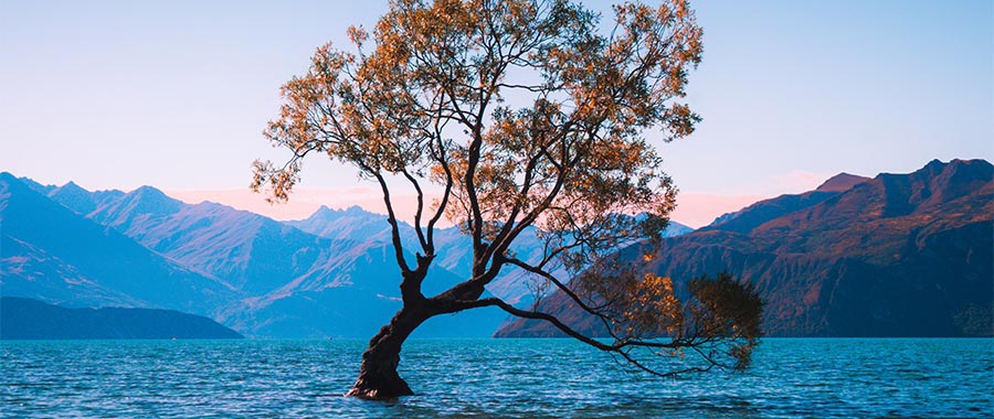 Does Nature Prove that God Exists?