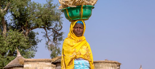 Fixing Climate Change and Gender Equality—All at Once