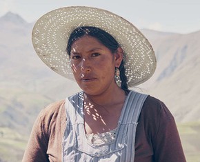 Los pequeños agricultores y el principio orgánico de interdependencia