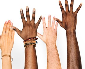 La diversidad: el poder penetrante en todas las cosas