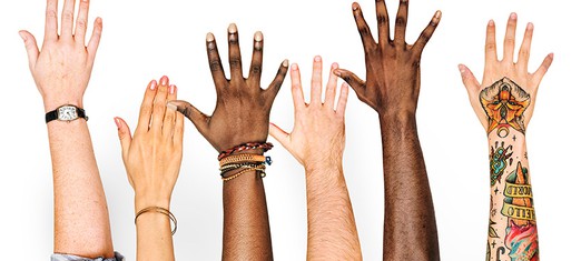 La diversidad: el poder penetrante en todas las cosas