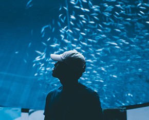 Science and Religion: A User’s Brief Guide to Life