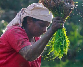 Si todo el desarrollo comienza con el agricultor, nosotros también deberíamos