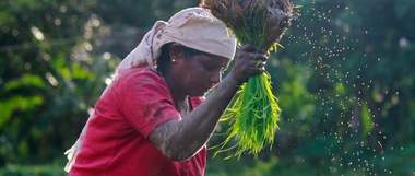 Si todo el desarrollo comienza con el agricultor, nosotros también deberíamos