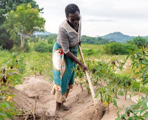 The Farmer: the First Active Agent in Human Society