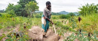 The Farmer: the First Active Agent in Human Society