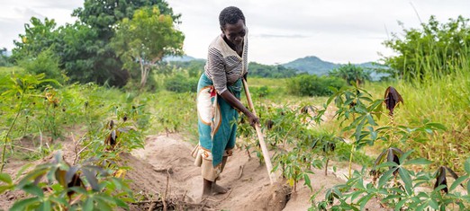 El agricultor: el primer agente activo en la sociedad humana