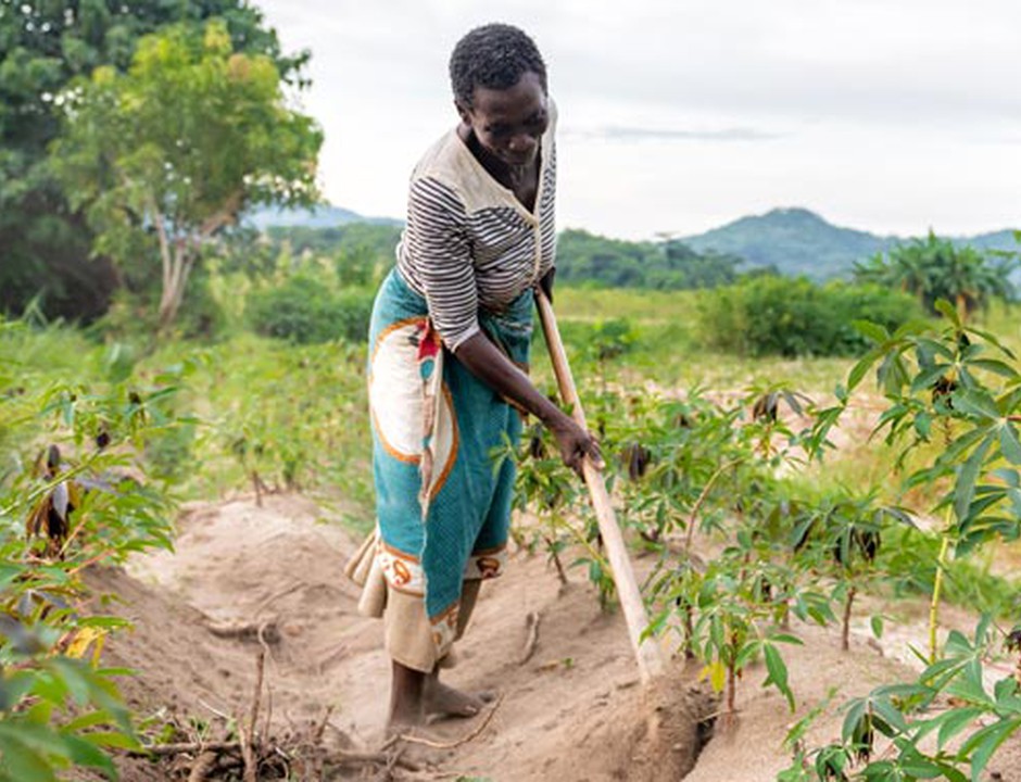 The Farmer: the First Active Agent in Human Society
