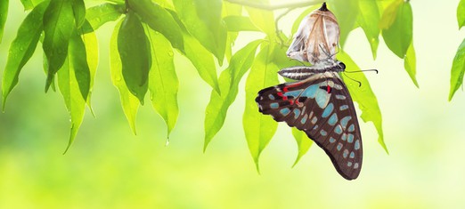 What If a New Religion Began to Emerge?