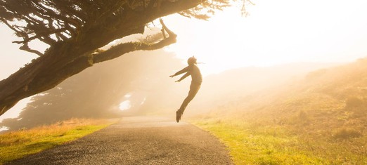 Learning to Surrender