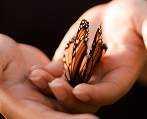The Baha’i Concept of Progressive Revelation