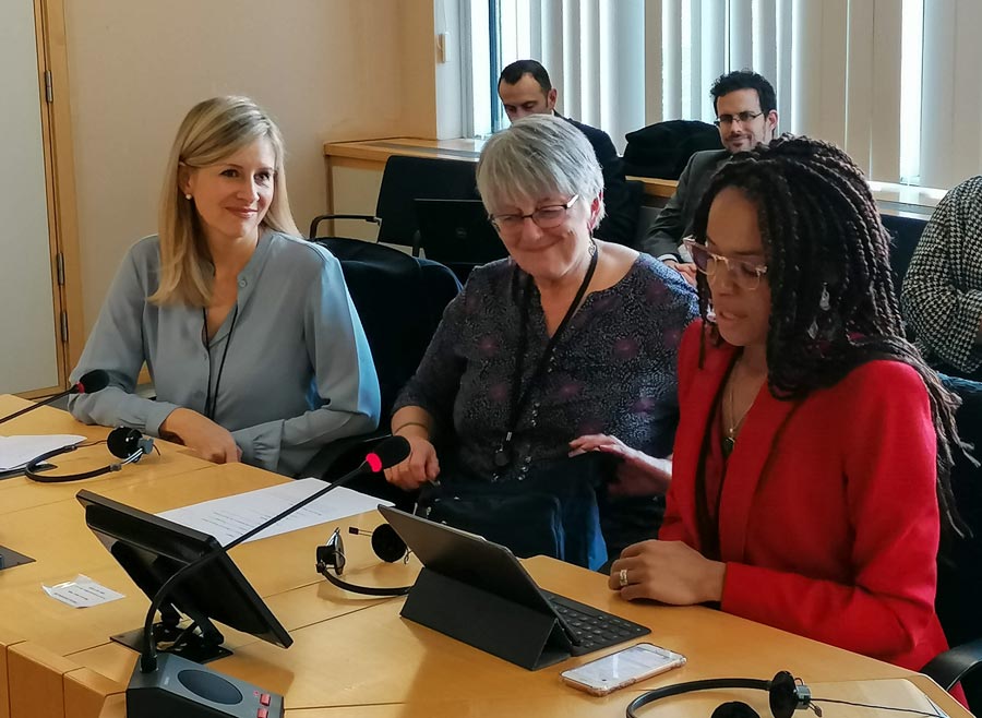 The European Parliament panel discussion on the role of language in fostering a shared identity.