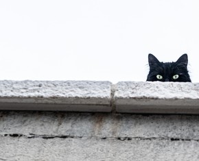 ¿Cómo nos afectan las supersticiones?