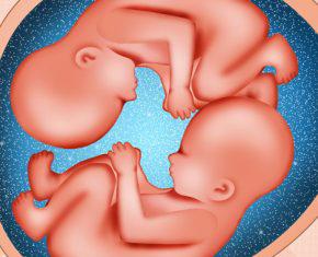 A Conversation Between Twins from Inside the Womb